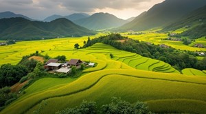 Tour Tây Bắc: Mộc Châu - Sơn La - Điện Biên - Lai Châu - Sapa 5 ngày 5 đêm từ TP.HCM